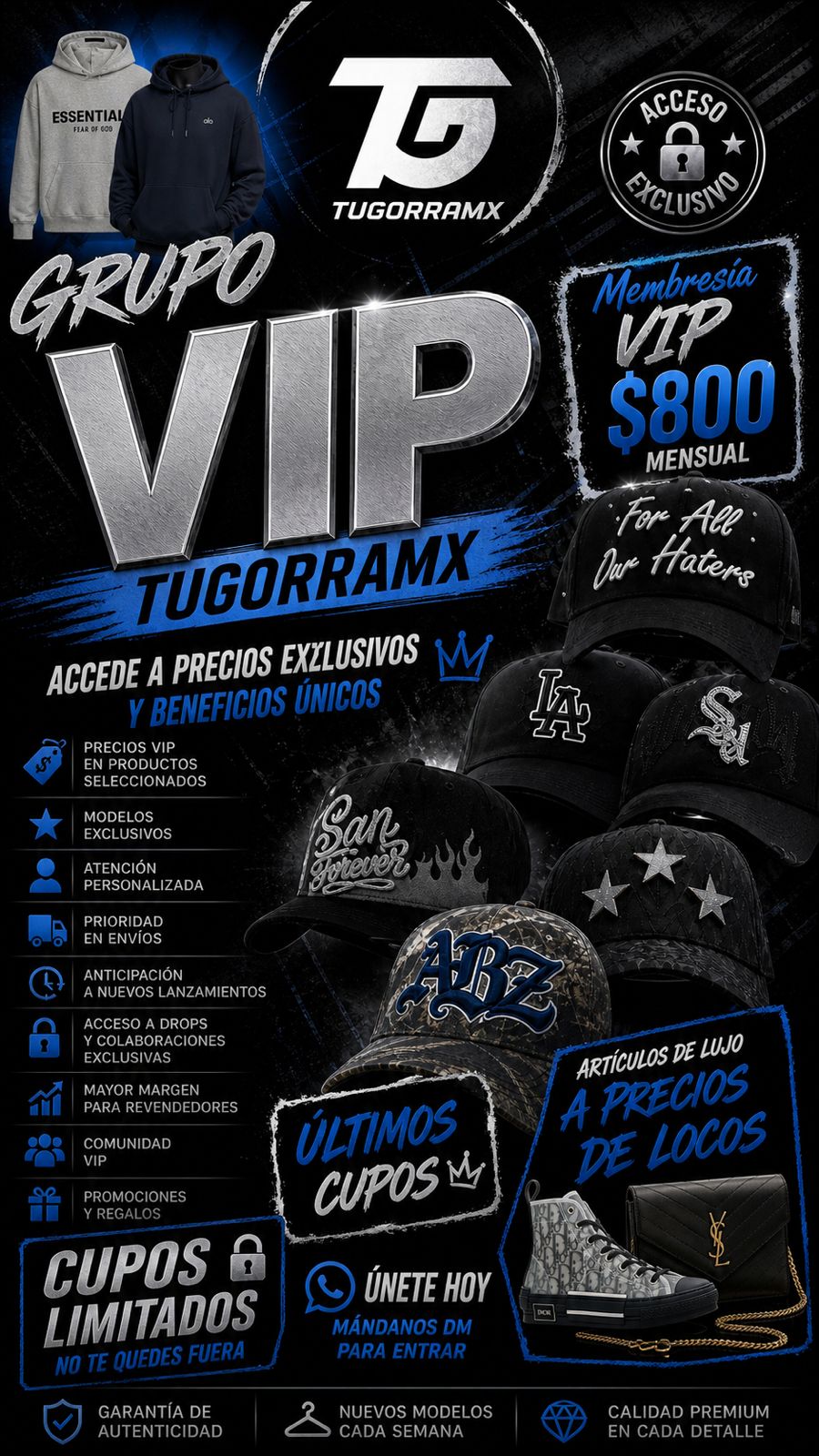 GRUPO VIP (MENSUAL)