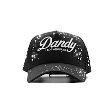 DANDY STARGAZING